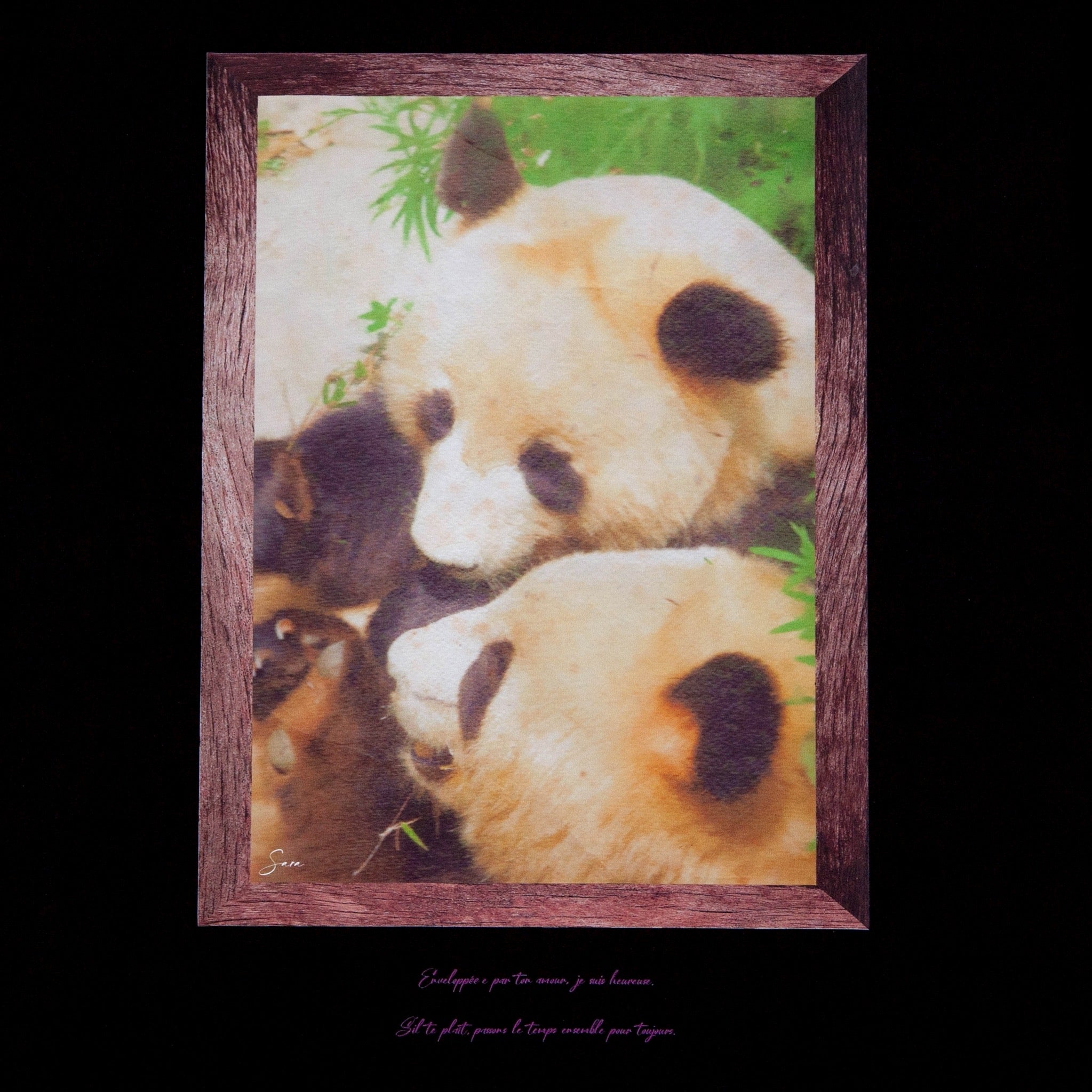 GIFT OF LOVE TEE[BLACK/PURPLE]