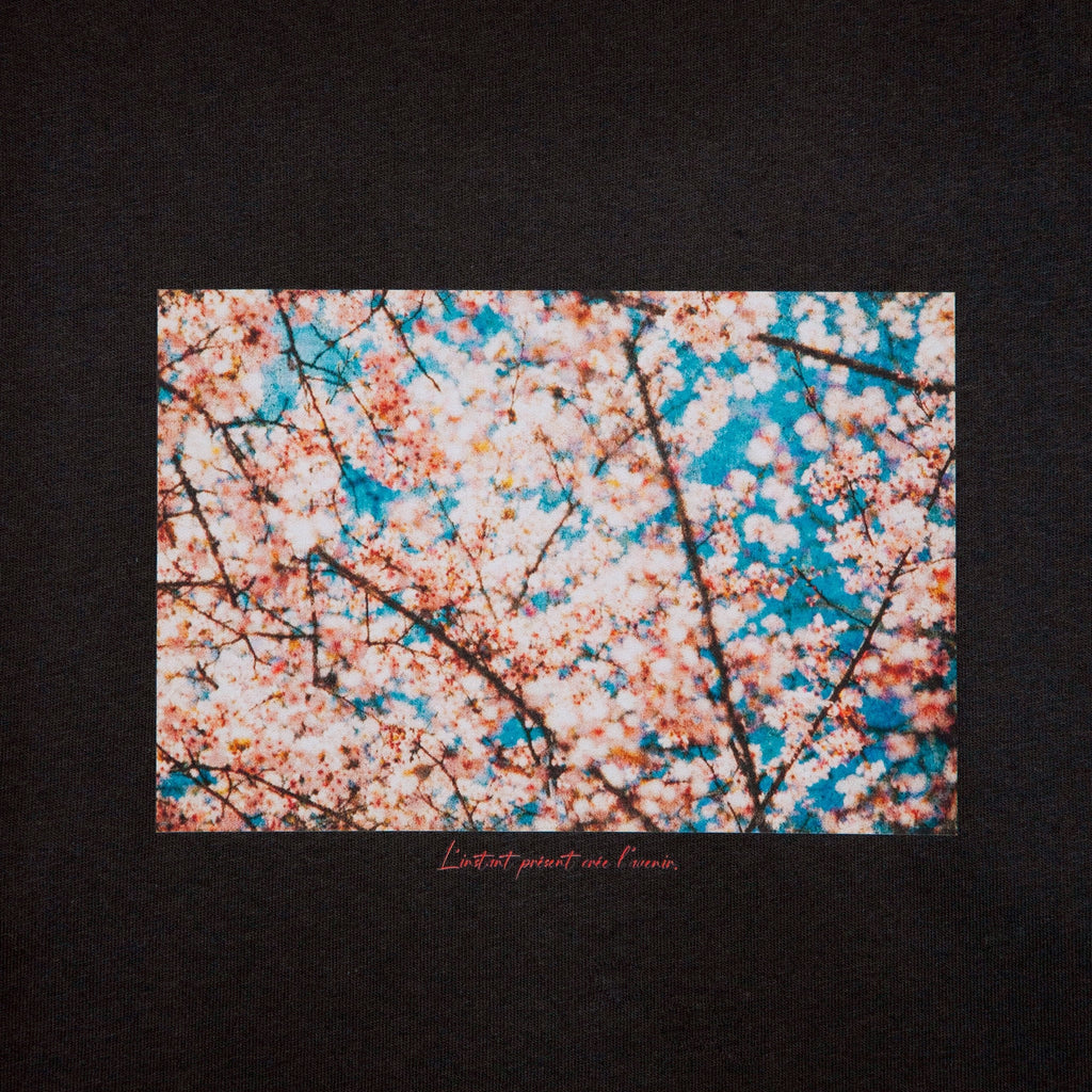 L’Instant Sakura L/S [SUMI]